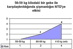 Nöral tüp defekti