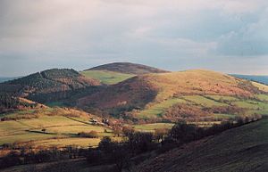 Tepe (coğrafya)