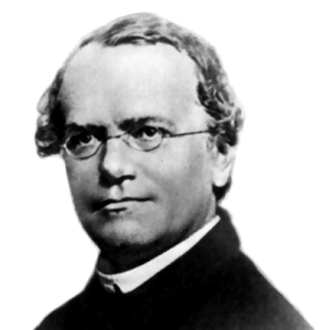 Mendel