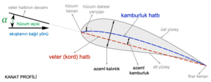 Veter çizgisi