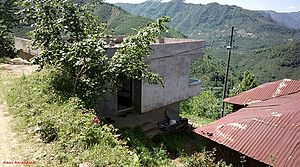 Alisayvan, Ordu