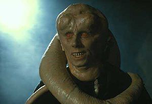 Bib Fortuna