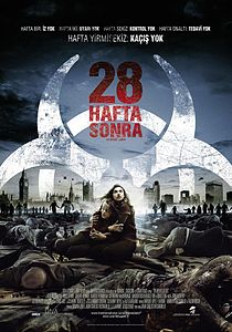 28 Hafta Sonra