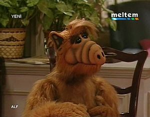 ALF (dizi)