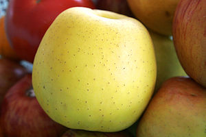 Golden delicious elması