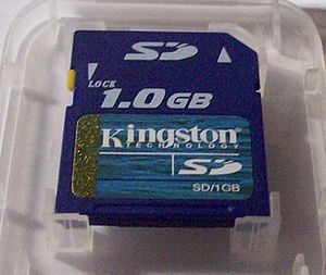 Kingston Technology