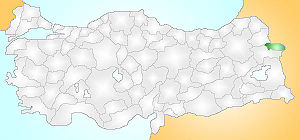 Kırçiçeği, Aralık