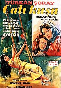 Çalıkuşu (film,1966)