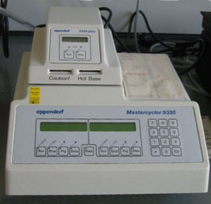 PCR