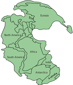 Pangea