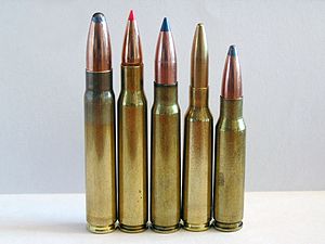 .308 Winchester