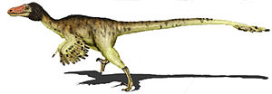 Adasaurus