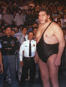 André the Giant