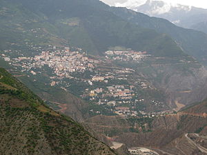 Artvin (merkez)