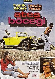 Ateş Böceği (film)