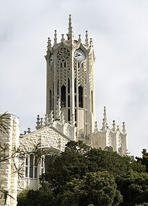 Auckland Üniversitesi