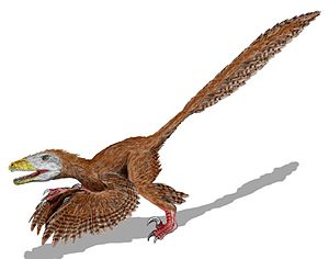 Deinonychus