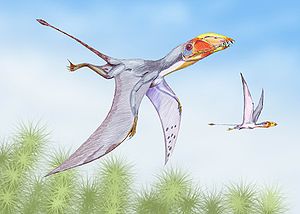 Dimorphodon