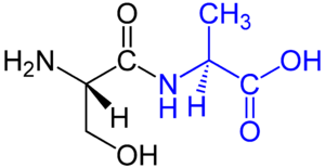 Dipeptid