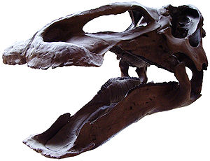 Edmontosaurus