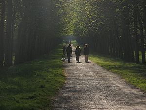 Fontainebleau Sarayı