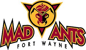 Fort Wayne Mad Ants