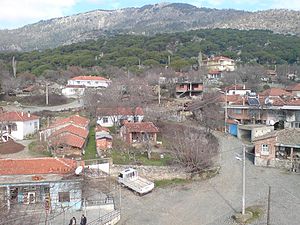 Hacıhamzalar, Bergama