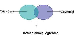 Harmanlanmış öğrenme