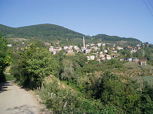 Koyunculu, Aybastı