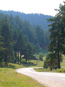 Kunduz Dağı