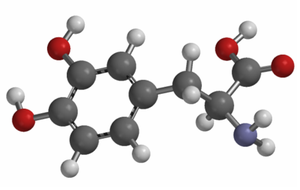 Levodopa