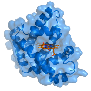 Ligand (biyokimya)