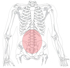 Lumbar (tıp)