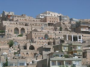 Mardin (merkez)