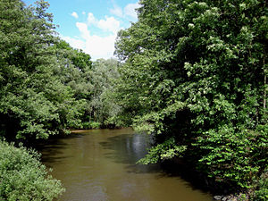 Meurthe Nehri