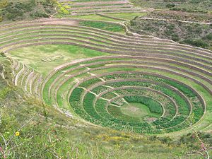 Moray laboratuvarı