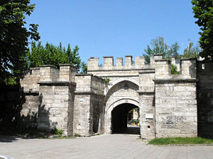 Vidin (şehir)