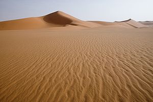 Sahara