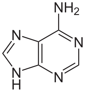 adenine