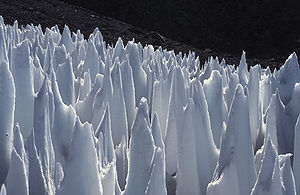 Penitentes