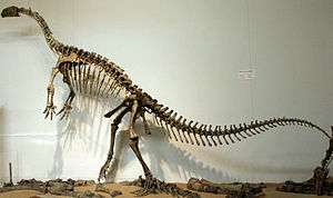 Plateosaurus