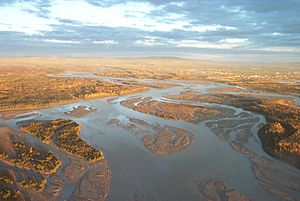 Tanana Nehri