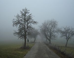 Görüş (meteoroloji)