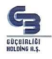 Güçbirliği Holding