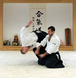 aikido