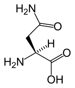 asparagin