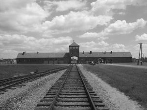 Holocaust