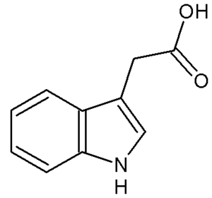 auxin