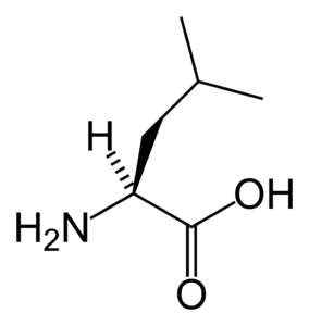 Leucin