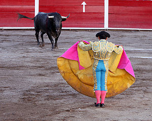 Matador